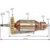 Ротор (Якорь) REBIR LSM5-115/ REBIR LSM6-125 (443015001062, 0311207254) (L-158.5 мм, D-38 мм, резьба М8 (шаг 1.0 мм))
