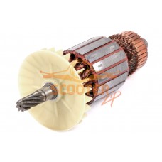 Ротор (Якорь) REBIR RZ2-70 0310003817
